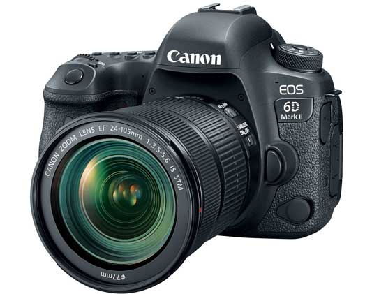 Canon EOS 6D Mark II with EF 24-105mm IS STM Lens.