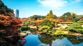 Which Are A Few Of The Best Parks To Visit In Tokyo?