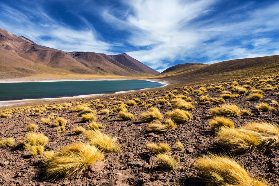 The Meniquez Lagoon, Atacama Desert, Chile.