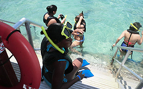 Snorkeling at De Palm Island Aruba