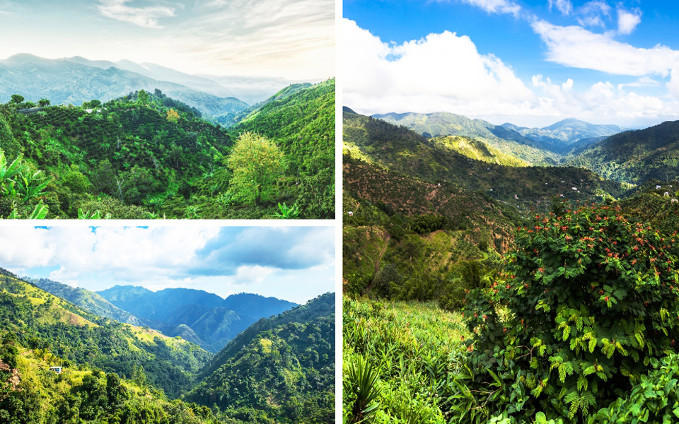 Blue Mountain Peak Jamaica
