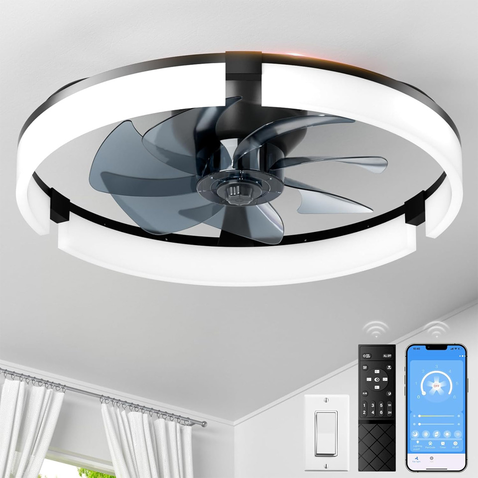 DUSFAN 20-Inch Ceiling Fan With Lights And Remote