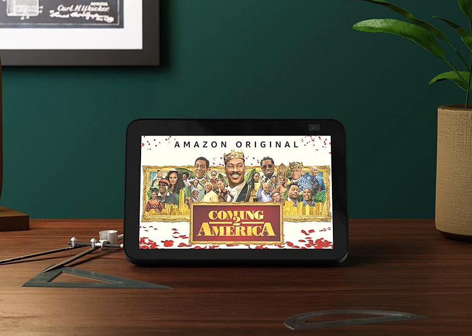 Echo Show 8 With Blink Mini