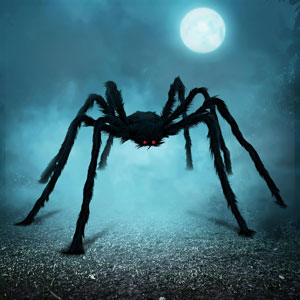 Halloween Outdoor Decorations Giant Spider