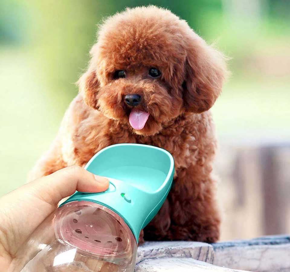 MalsiPree Dog Water Bottle
