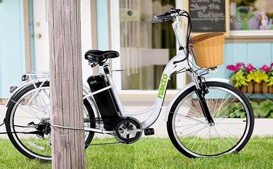 NAKTO 26 in 250W Cargo Electric Bicycle