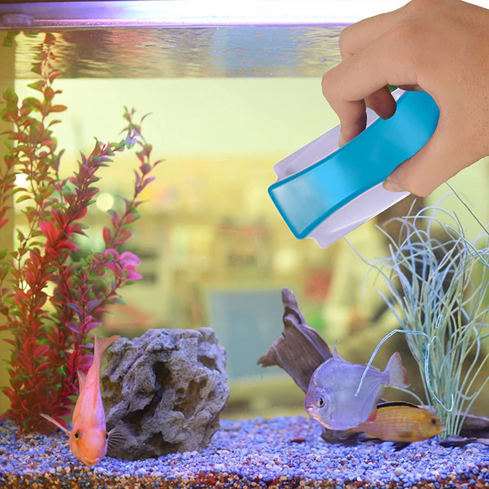 This 1 Brilliant Gadget Cleans 2 Sides of Fish Tanks, Glass Windows