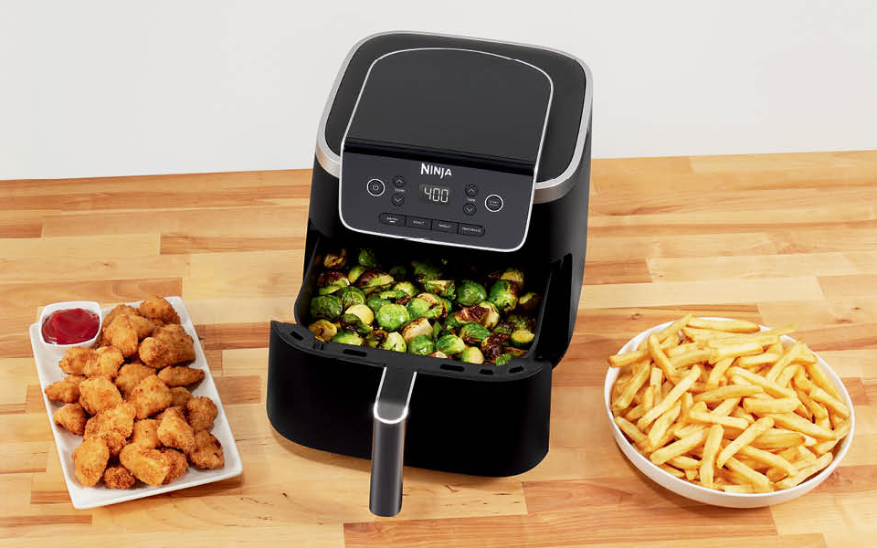 Ninja 5QT Capacity 4-In-1 Pro Air Fryer