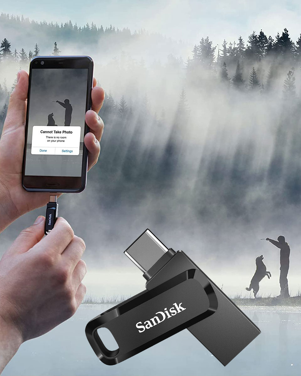 SanDisk 256GB USB Ultra Dual Type-C Flash Drive