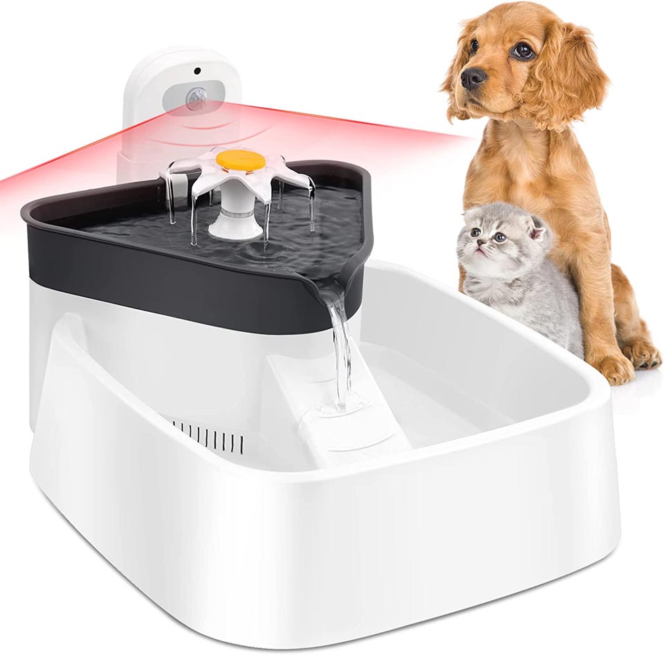 Shandus Smart Pet Water Fountain With Motion Sensor
