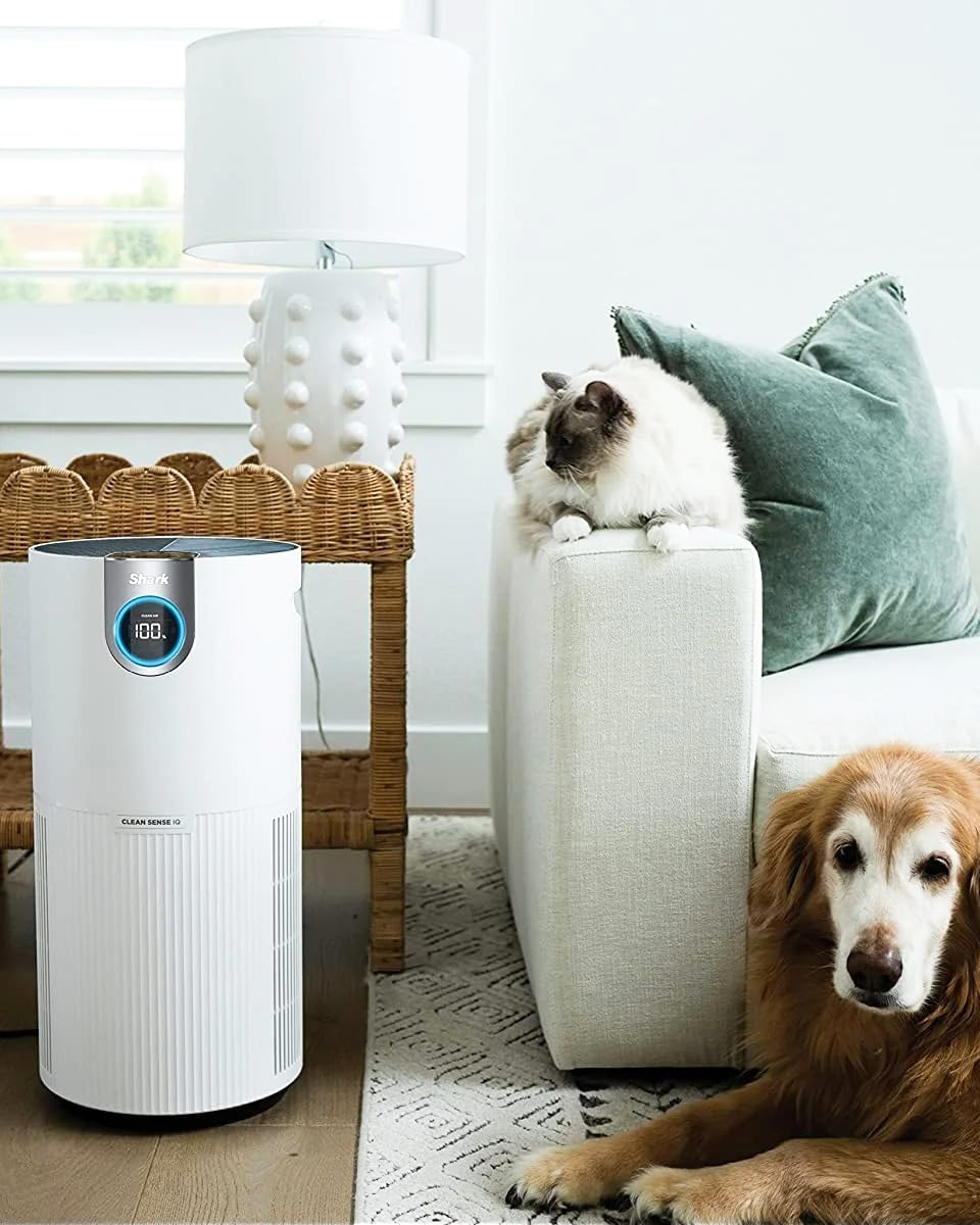Shark Air Purifier For Large Room With Clean Sense Technology