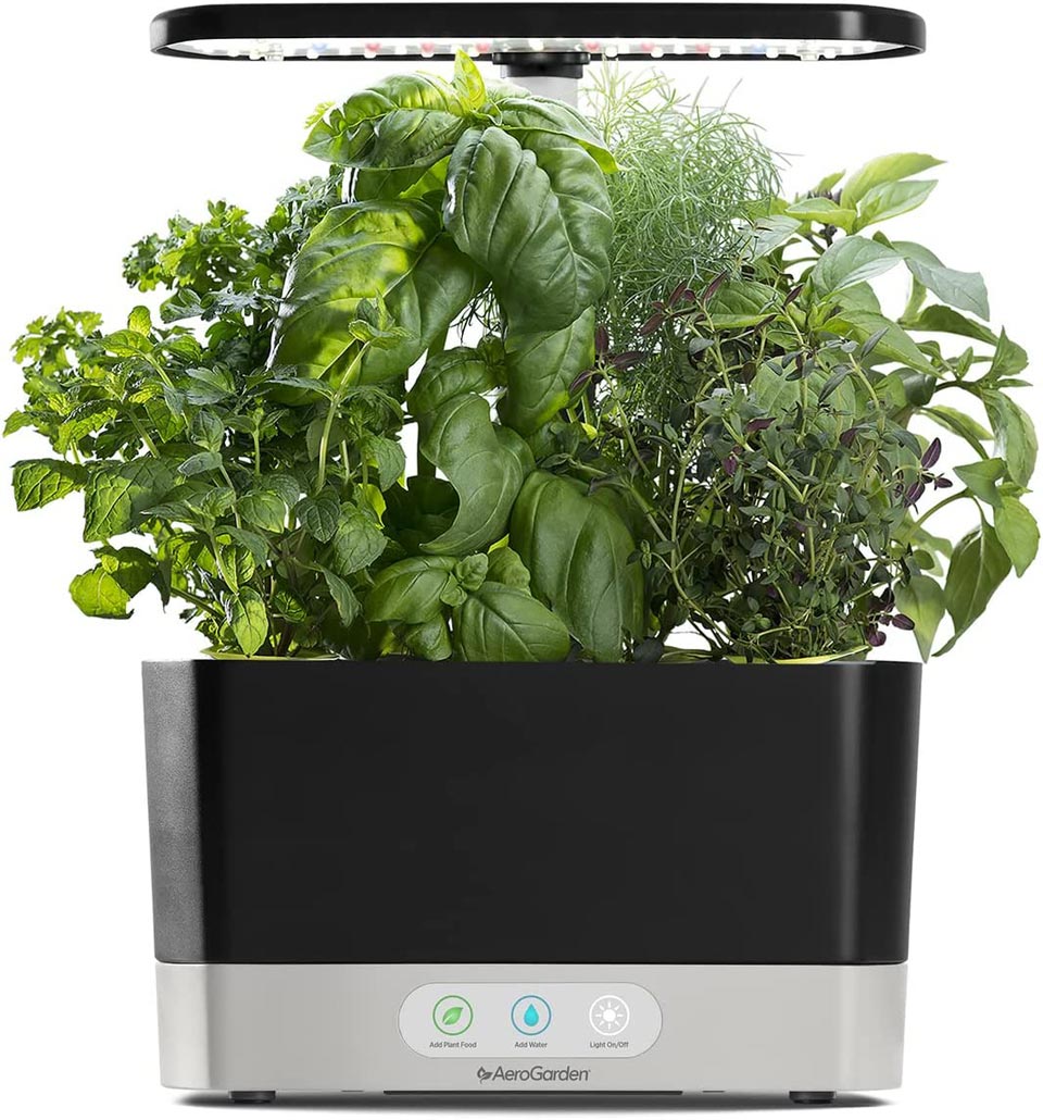 The AeroGarden Harvest With Gourmet Herb Seed Pod Kit