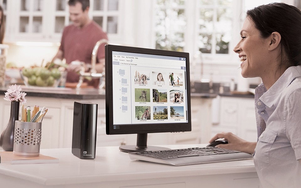 Western Digital 14TB WD Red Plus NAS Internal Hard Drive HDD