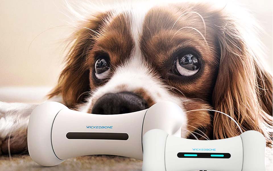 Wickedbone Smart Bone