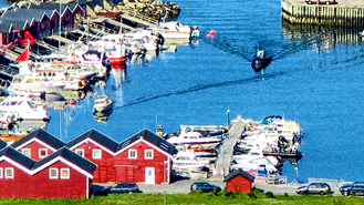 Bodo Nordland Norway