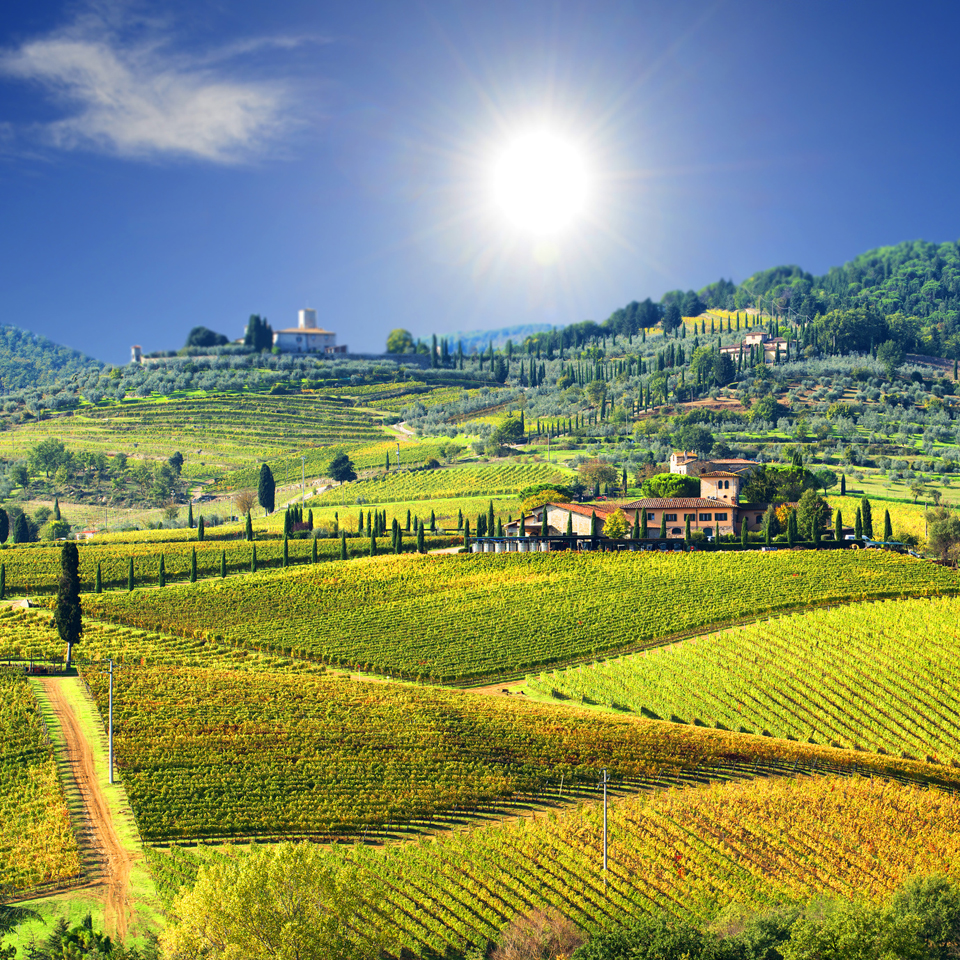Landscape in Chianti region, Tuscany, Italy