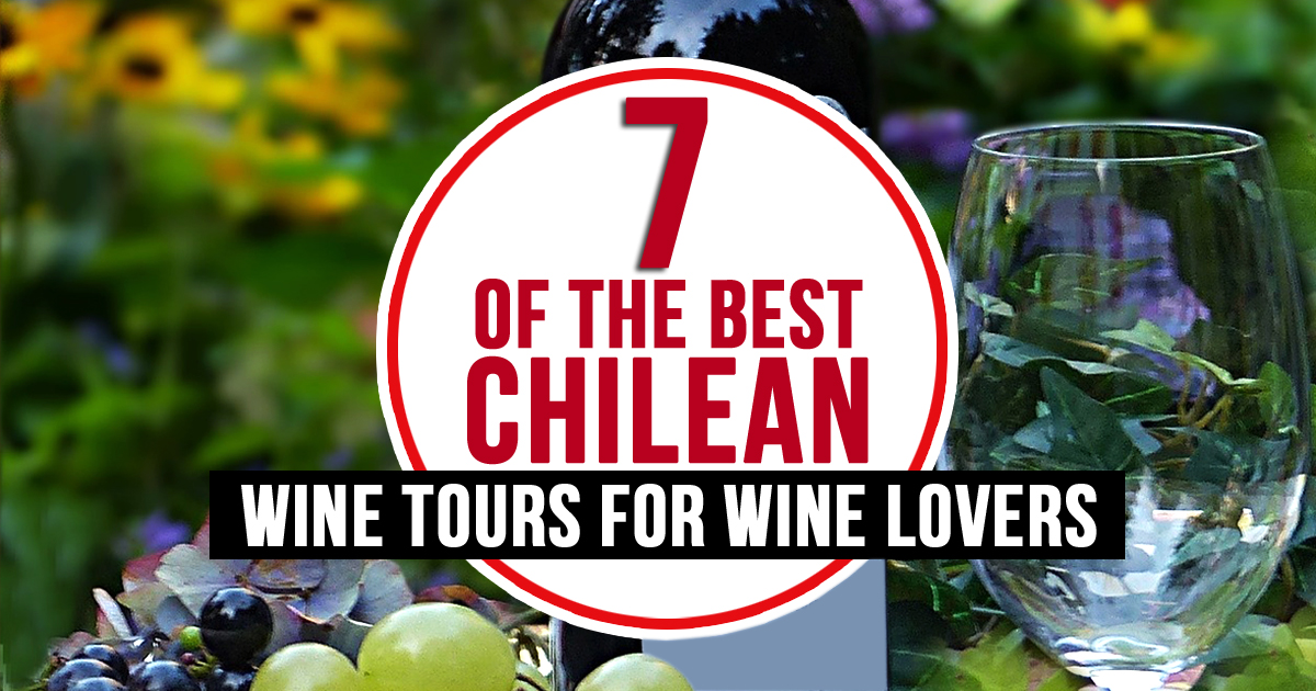 7 Of The Best Chilean Wine Tours For Wine Lovers