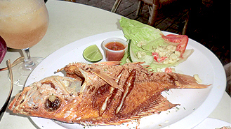 Fried fish at Iguana cafe Curacao