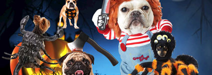 7 Halloween Costumes That Will Have Your Dog Looking Spooky Cool