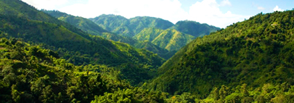 These Are The 10 Highest Mountain Peaks in the Caribbean