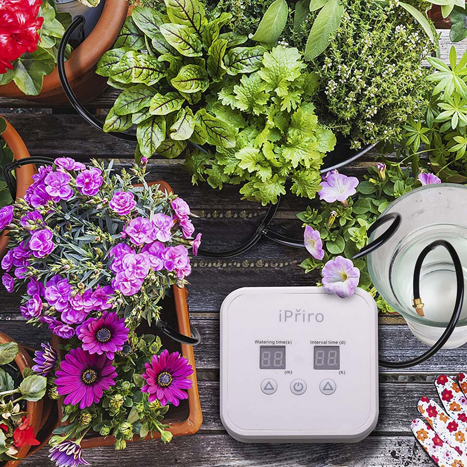 iPřiro Houseplants Automatic Watering System