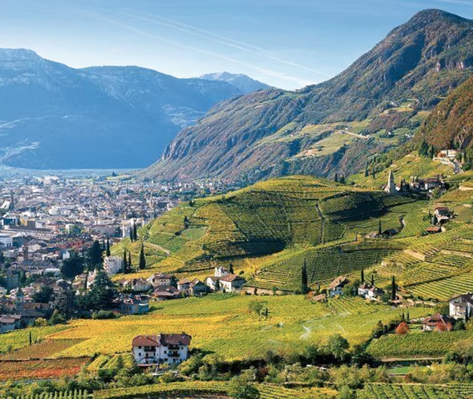 Private Tour The ultimate South Tyrol wine & food experience