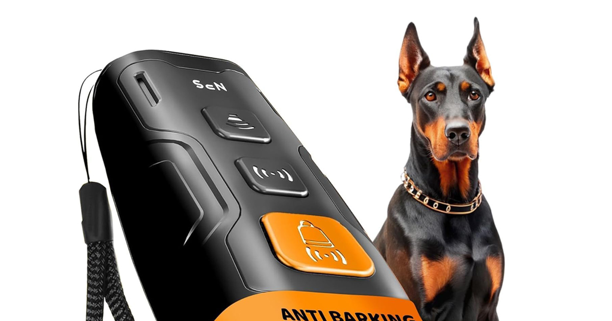 Top Deals Alert!